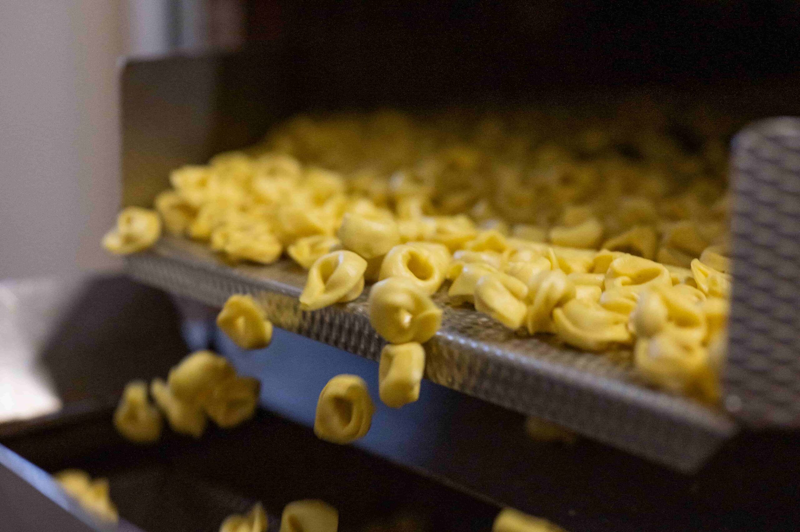The Authentic Tortellini Bolognese: History, Legend, and the Official Recipe Standard
